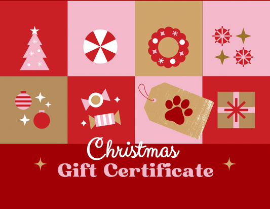 2PEOPLE APPAREL GIFTCARD